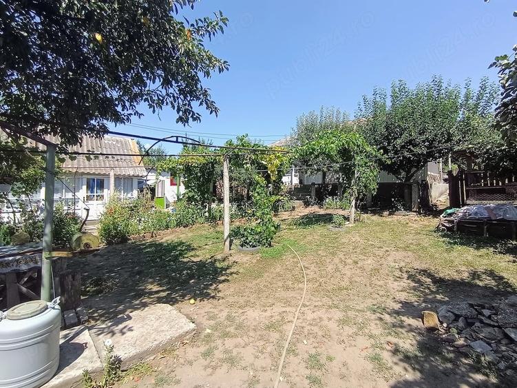 Casă cu 3 camere cu Teren 3116 Mp în Valea lui Darie