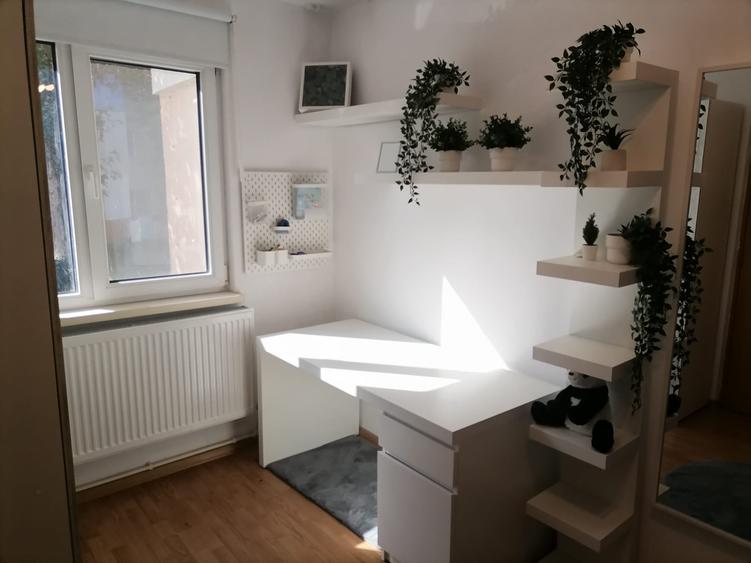 Apartament cu 2 camere nedecomandat în Brotăcei