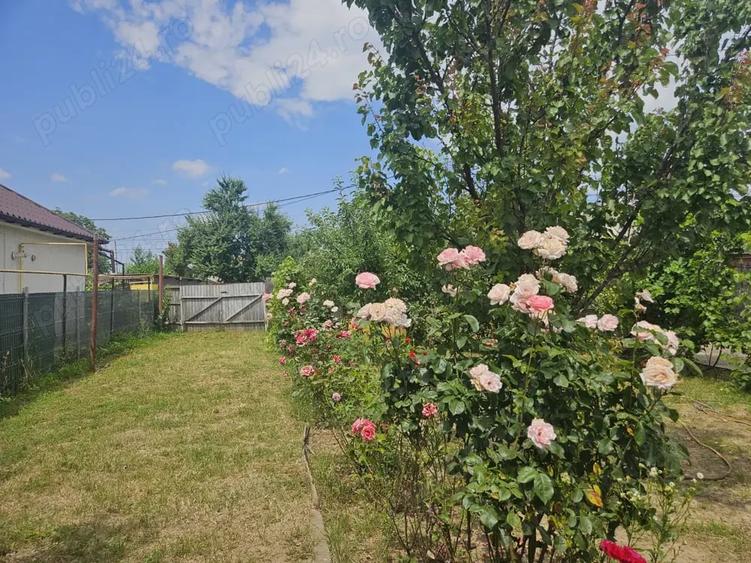Teren de 455 mp, în Letea Veche