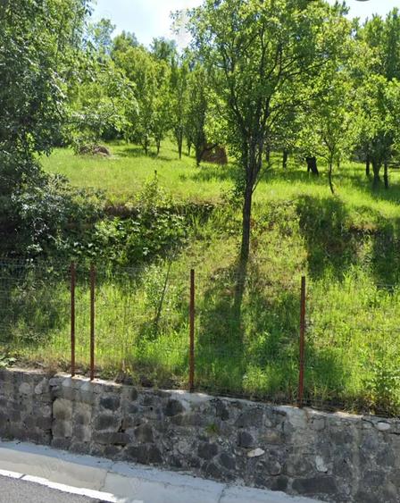 Teren de 1000 mp, în Valea Doftanei