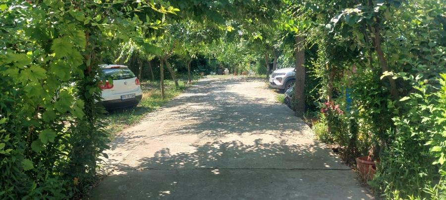 Casă cu 4 camere în Central