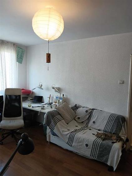 Apartament 2 camere in proximitatea Bucur Obor - 3