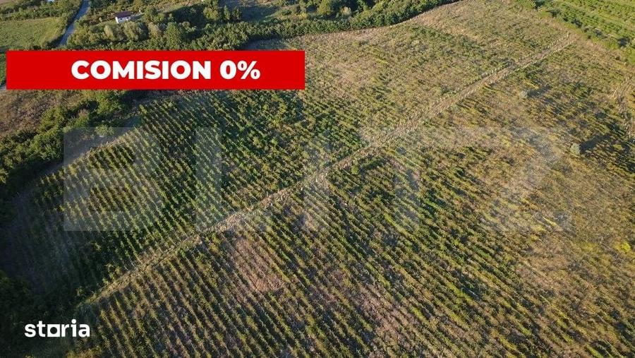 Teren de 56200 mp, în Gheorghe Doja