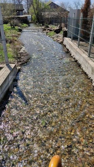 Casă individuală cu 4 camere cu Canalizare în Exterior Vest