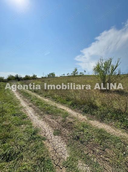 Teren de 1440 mp, în Titu Maiorescu