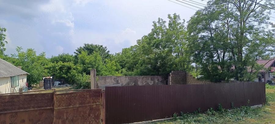 Teren de 5520 mp, în Timișești