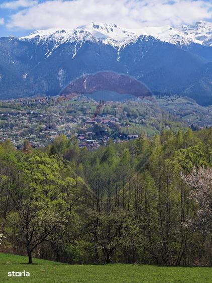 Ocazie! Teren 9735 mp Bran- Predelut / Strada Pe Tarina nr. 70A - 7