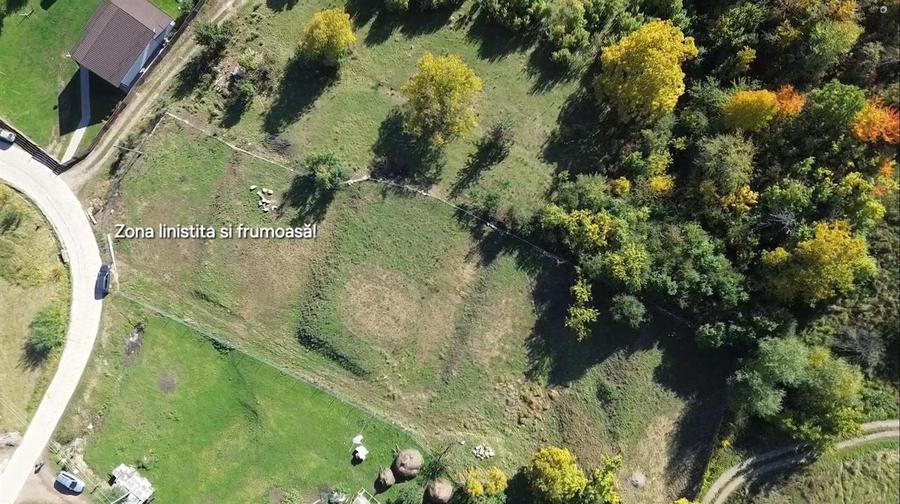 Teren Construcții intravilan de 3500 mp, în Cacica