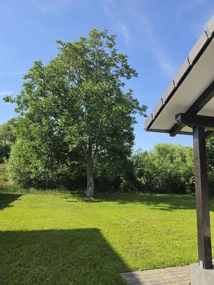 Casă cu Teren 500 Mp în Sânmihaiu Român
