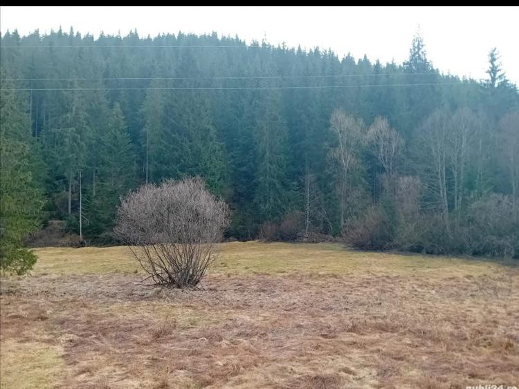 Teren de 5000 mp, în Poiana Horea