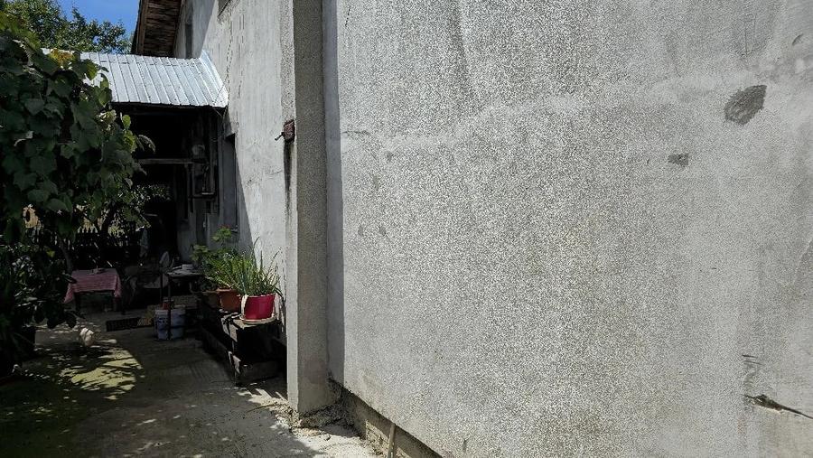 Casă cu Teren 8000 Mp în Crevedia Mare