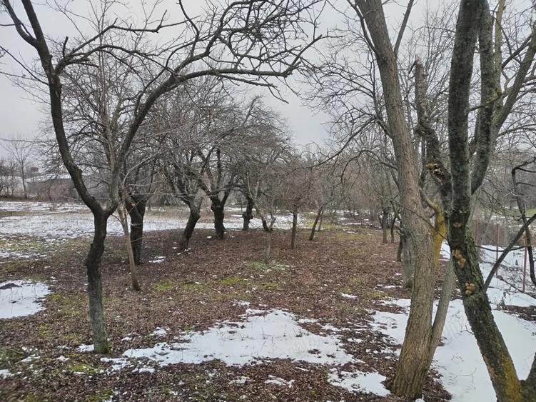 Teren de 1880 mp, în Central