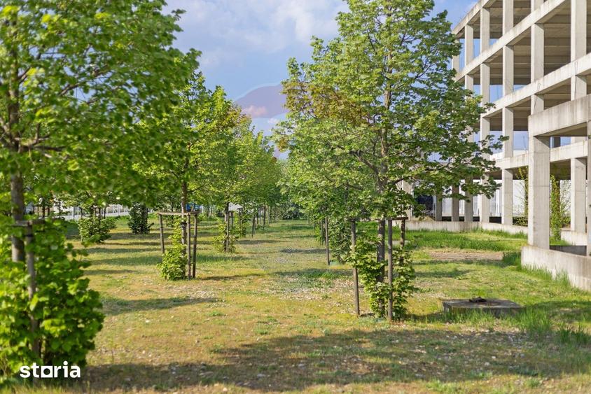 Teren de 3754 mp, în Aradul Nou