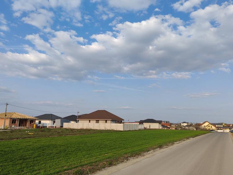 Teren Construcții intravilan de 3000 mp, în Cihei