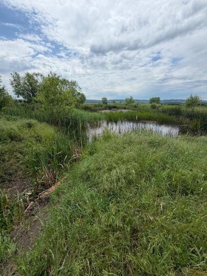 Teren agricol extravilan de 6000 mp, în Exterior Vest