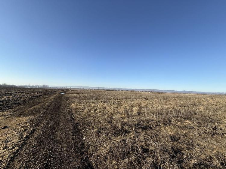 Teren agricol extravilan de 2300 mp, în Est