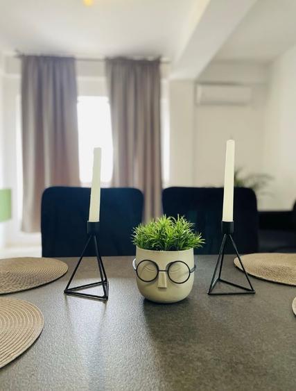 Aparatorii Patriei 2 camere langa Monaco Towers - 7