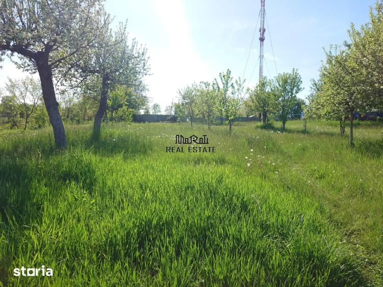 Casă cu 9 camere cu Teren 2339 Mp în Central