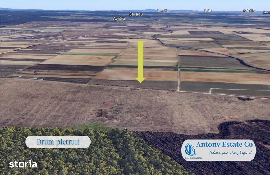 Antony Estate | Oportunitate de investitie - Teren Cihei, langa Padure - 3