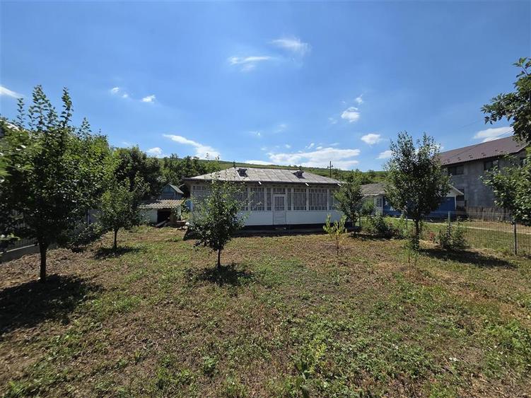 Teren Construcții intravilan de 4800 mp, în Tomești