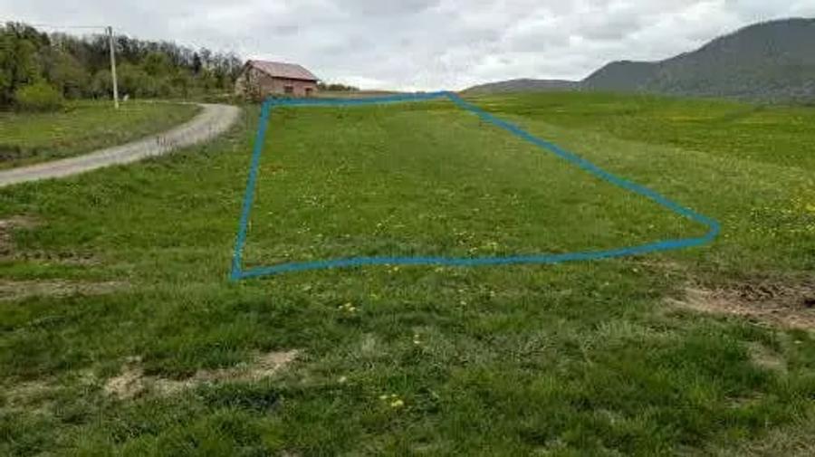 Teren de 4000 mp, în Cernești