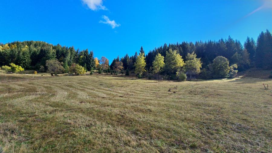Teren intravilan de 15771 mp, în Fundata