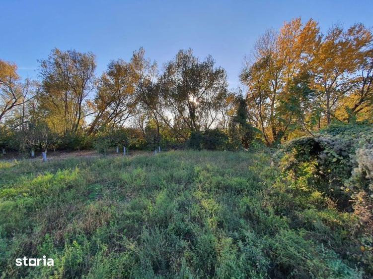 Teren de vanzare Dumbrava Minunata in Domnesti, Ilfov - 3