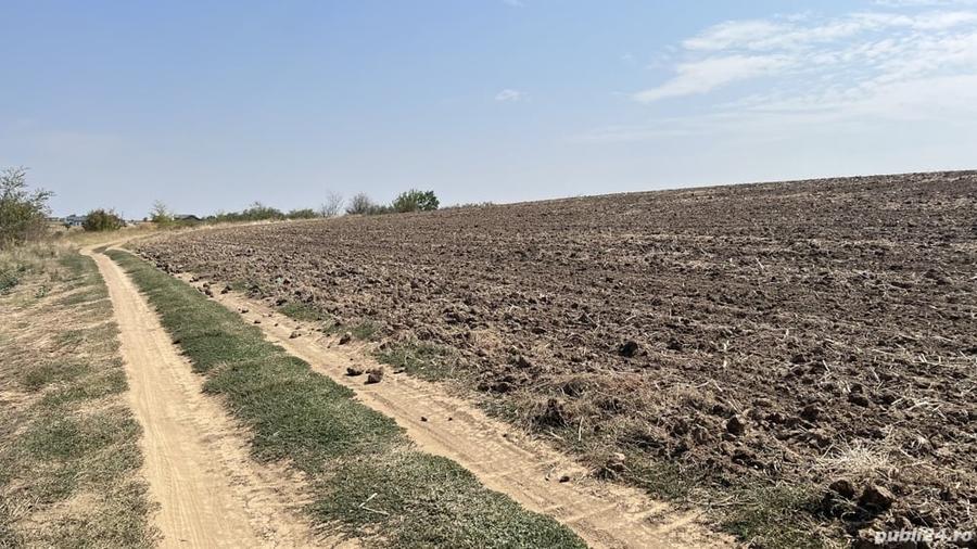 Teren A2 km 21 langa lacul Vadu Anei - 2