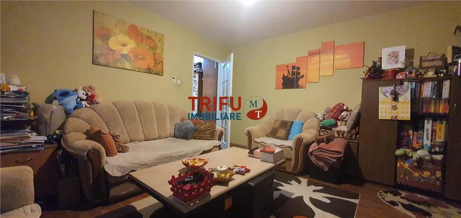 Apartament cu 2 camere semidecomandat în Cetate — fotografia 1