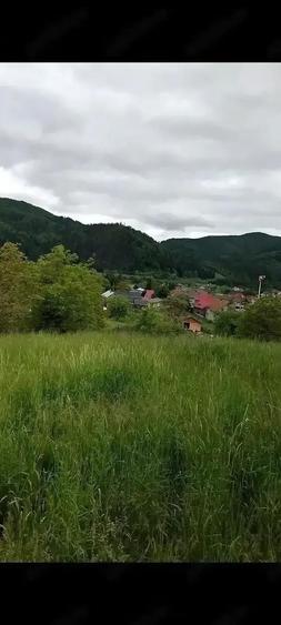 Teren Construcții intravilan de 2934 mp, în Gura Humorului