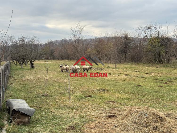 Teren Construcții intravilan de 2080 mp, în Brebu Mânăstirei