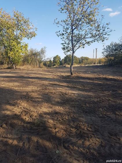 Teren de 2595 mp, în Moșoaia