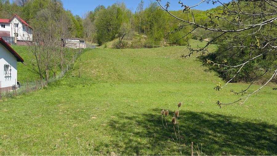 Teren de 1801 mp, în Valea Borului