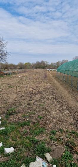 Casă individuală cu 3 camere cu Teren 2712 Mp în Oarda