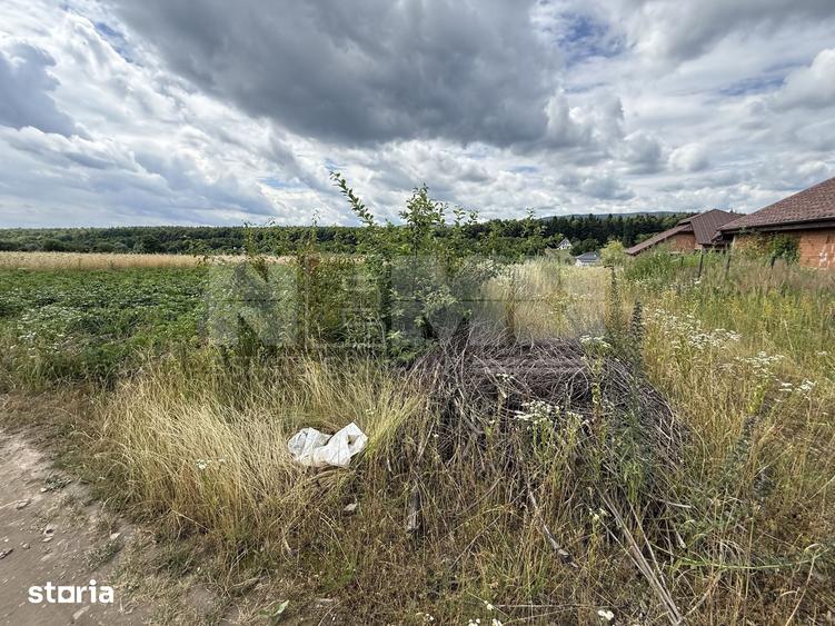 Teren de 1920 mp, în Putna