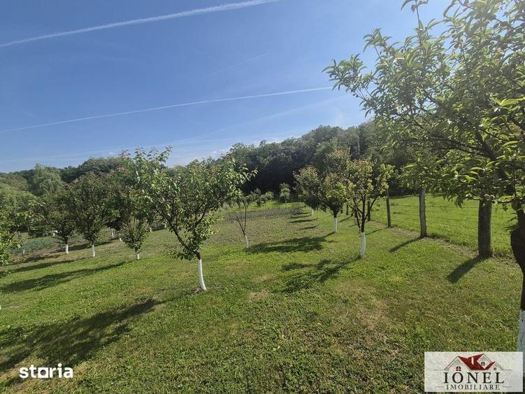 Teren de 2292 mp, în Vințu de Jos