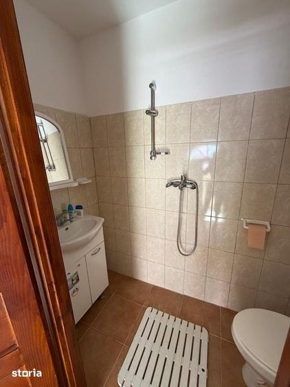 Casa pe un singur nivel+2974mp teren in Aciliu - 8
