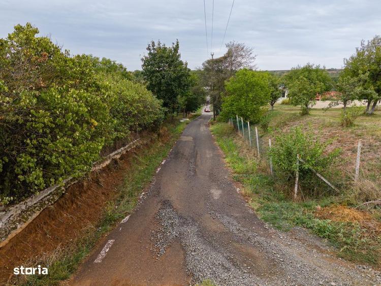 Teren de 1584 mp, în Pișchia