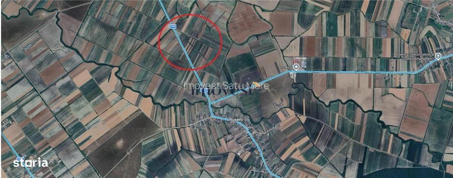 Teren extravilan de vanzare in Ruseni, Satu Mare | 3000 mp, front 20 m