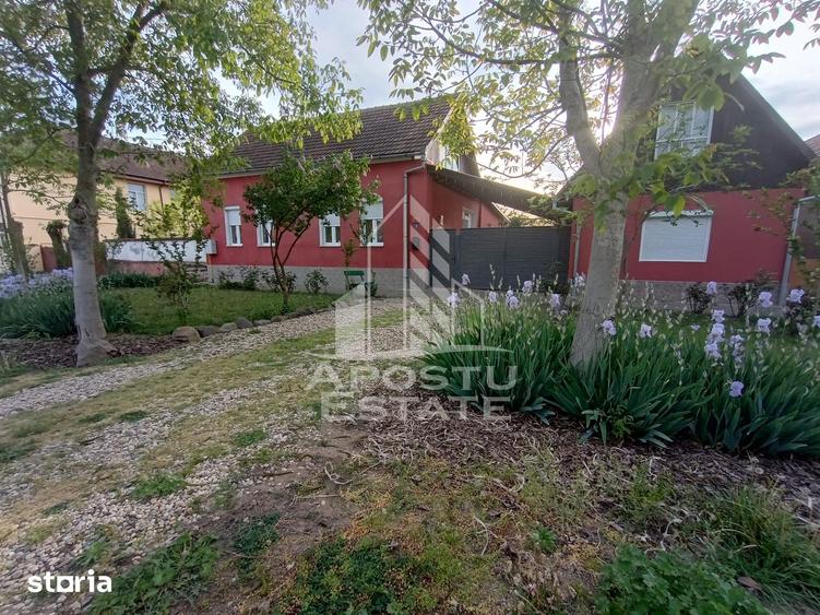 Casa individuala la sat, 5 camere, in Voiteg, judetul Timis - 9