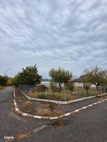 Casa cu 4 camere, teren generos, gradina, sera si anexa gospodareasca