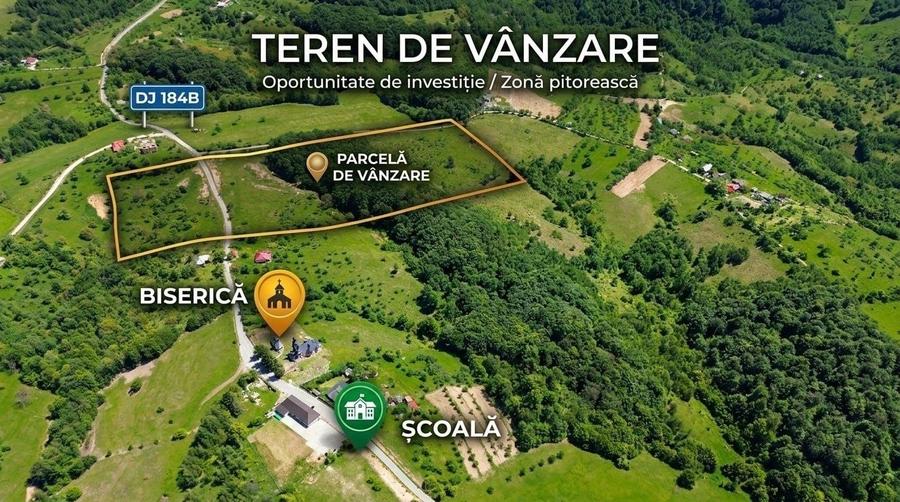 Spațiu comercial, în Codru Butesii