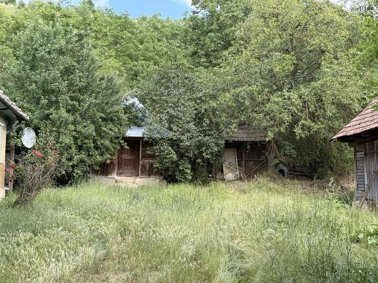 Casă cu 2 camere în Căianu Mare