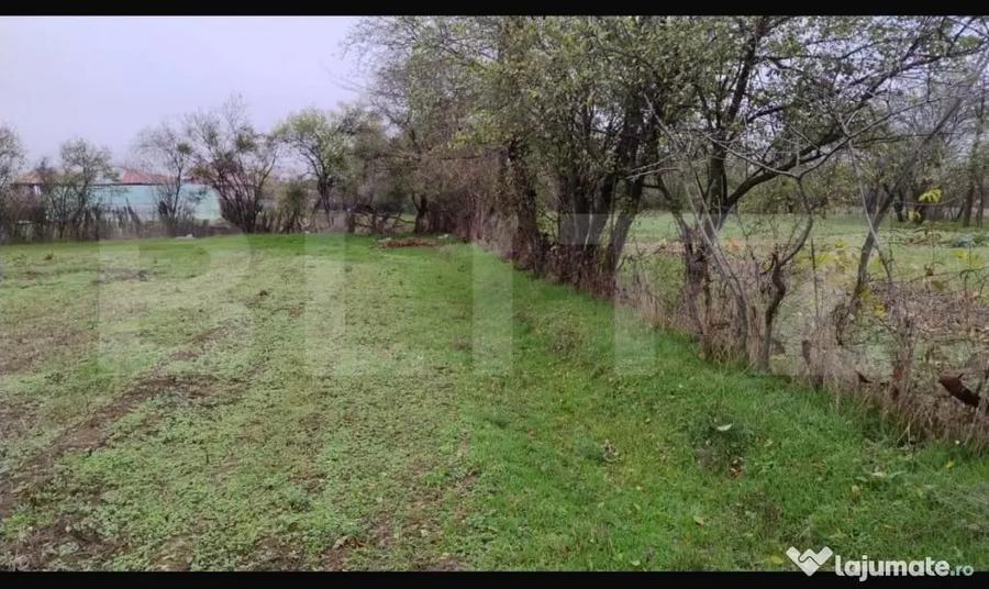 Teren de 3000 mp, în Central