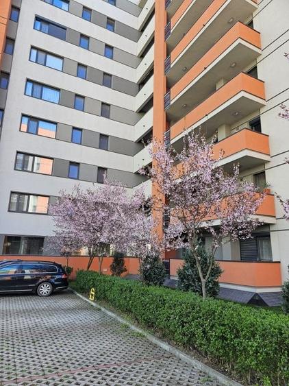 Apartament cu 2 camere decomandat în Aradului — fotografia 3