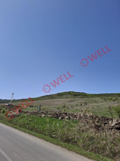 Teren agricol extravilan de 60000 mp, în Agrișteu