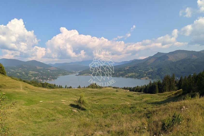 Teren Construcții intravilan de 61384 mp, în Colibița