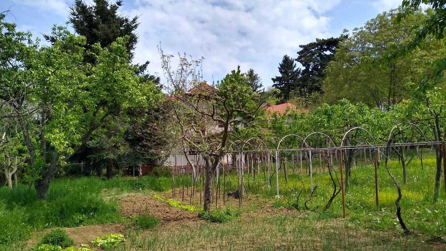 Casa de vanzare in Cuvin com. Ghioroc jud Arad - 6