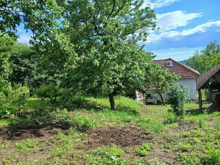 Casă cu Teren 1080 Mp în Blăjani