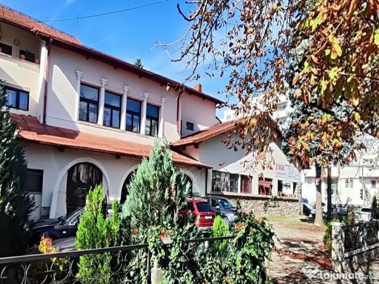 Spatiu comercial ultracentral, in Campina, PH, Parc central Milia, Bdul Carol I - 11